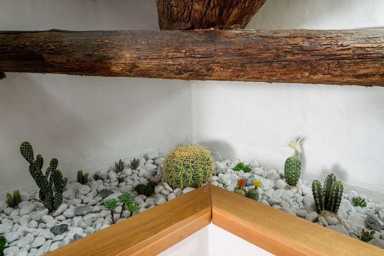 Penthouse In Siena Near Piazza Del Campoアパートメント エクステリア 写真